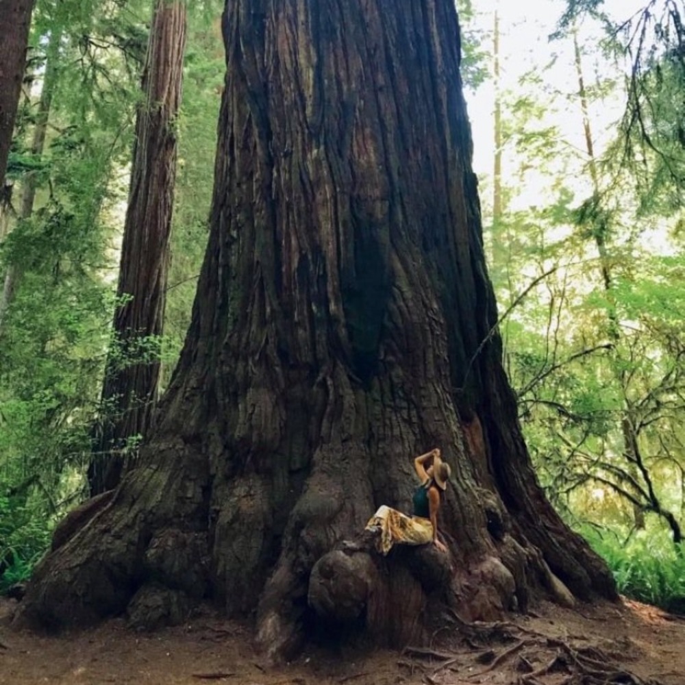 Meet your Posher, Stella